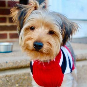 Meet your Posher, Crystal